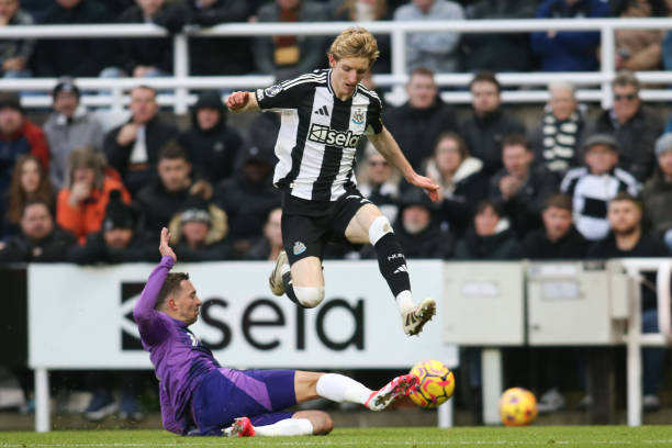 中的多方博 中的多方博